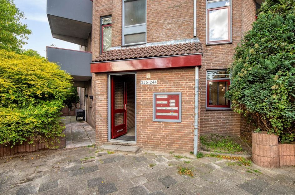 Q.A. Nederpelstraat 236