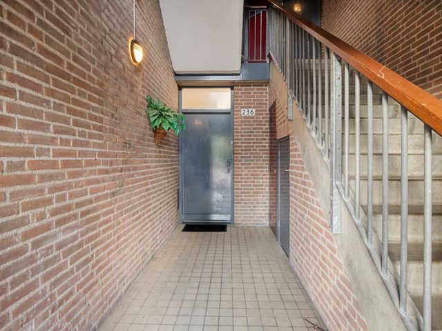 Q.A. Nederpelstraat 236, 's-Gravenhage
