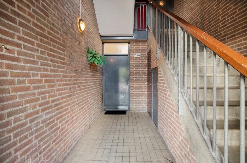 Q.A. Nederpelstraat 236
