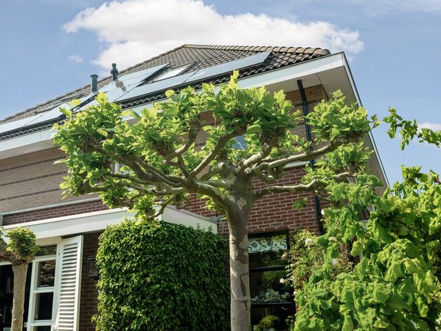 Alexine Tinnepad 19, 's-Gravenhage