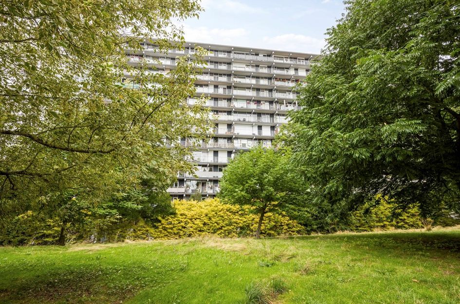 Henri Dunantstraat 301