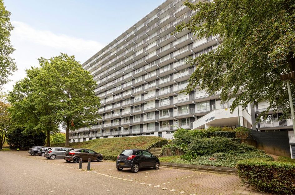 Henri Dunantstraat 301
