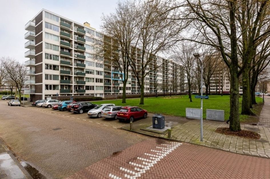 Ierlandstraat 