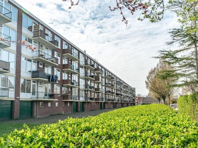 Verdistraat , Leiden