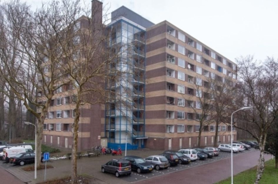 Fluitekruidweg 