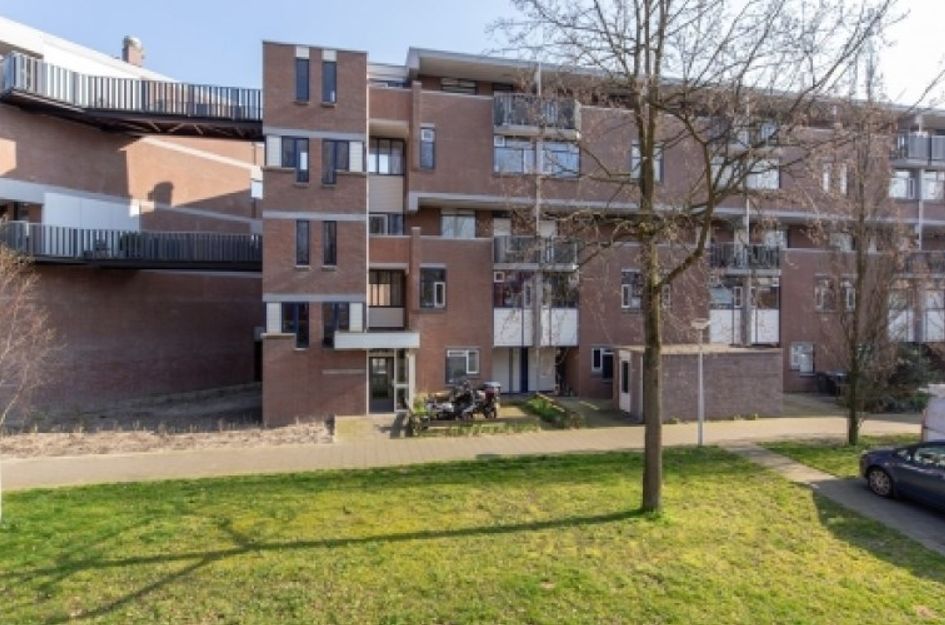 Hollandsch Diep 