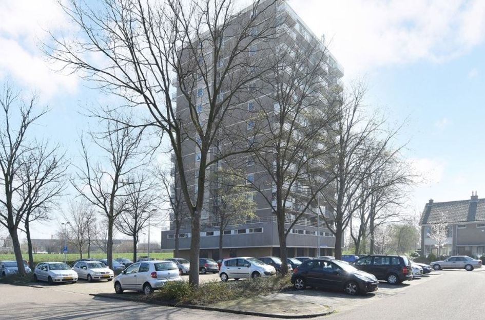 Alexanderstraat 