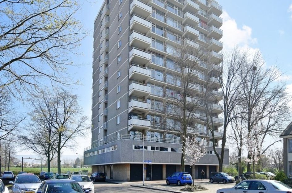 Alexanderstraat 