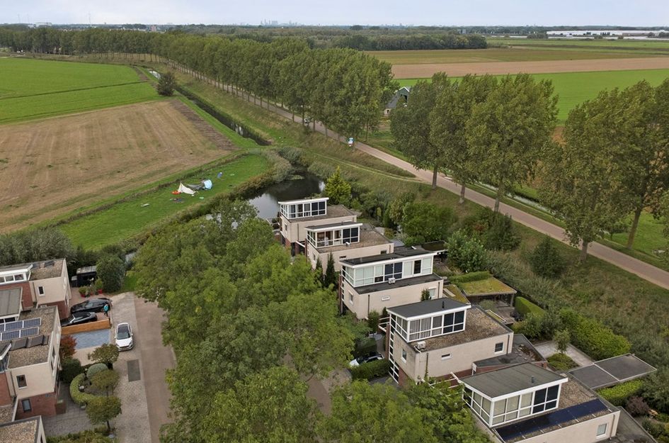 Dagpauwoog 7