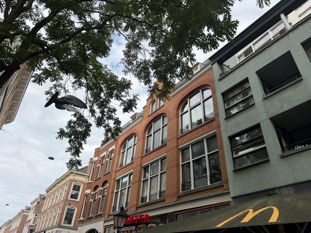 Oude Binnenweg 105A02, Rotterdam