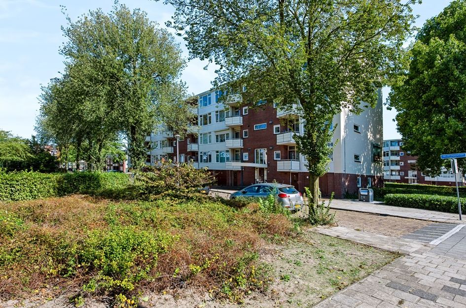 Jan van Goyenstraat 58