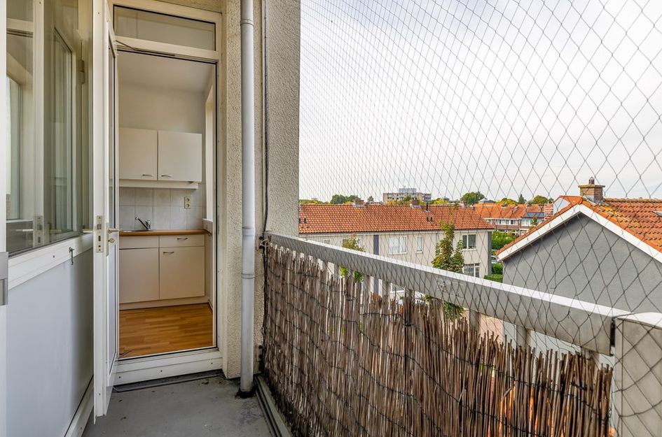 Aalscholverstraat 21