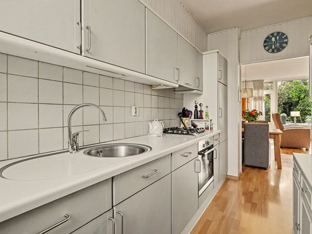 Rietgansstraat 25, Strijen