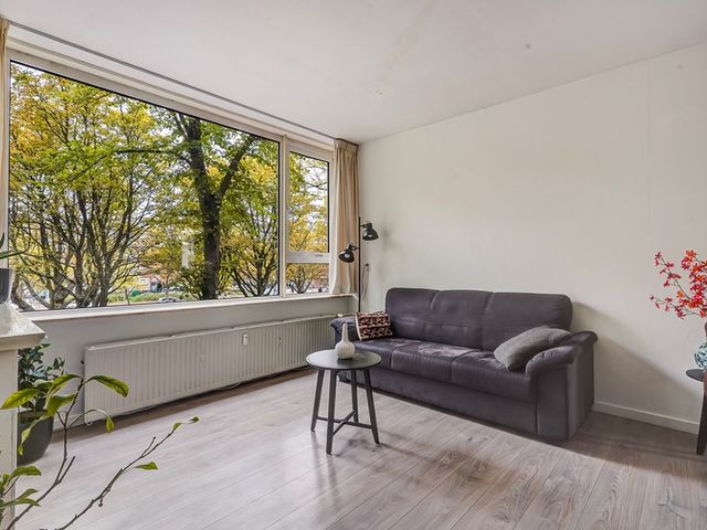Paulus Buijsstraat 27, Delft