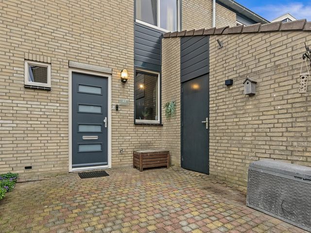 Ingeland 63, Maasland