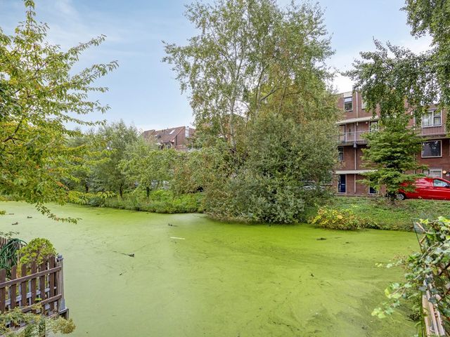 King Olivereiland 32, 's-Gravenhage