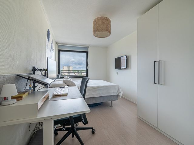 Prelude 37, Zaandam
