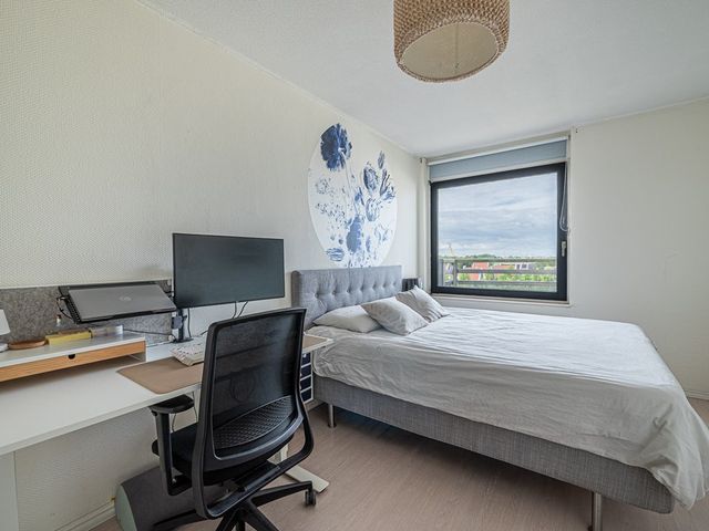 Prelude 37, Zaandam