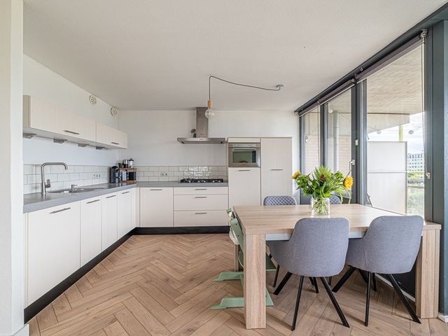 Prelude 37, Zaandam