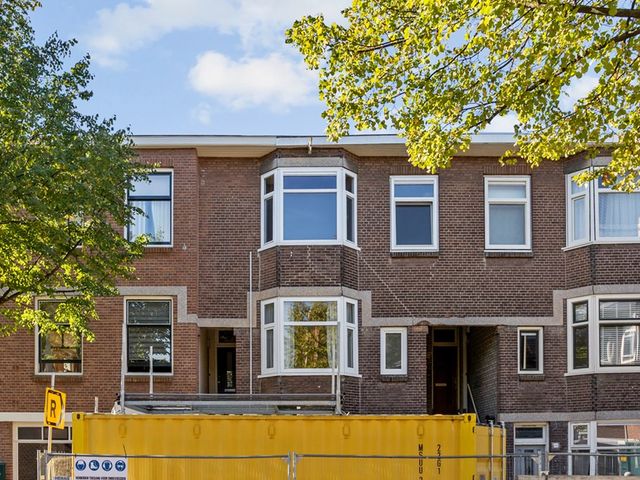 Groen van Prinstererstr 58, Vlaardingen