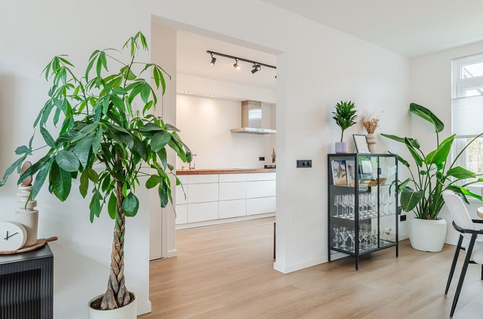Willibrordusstraat 31