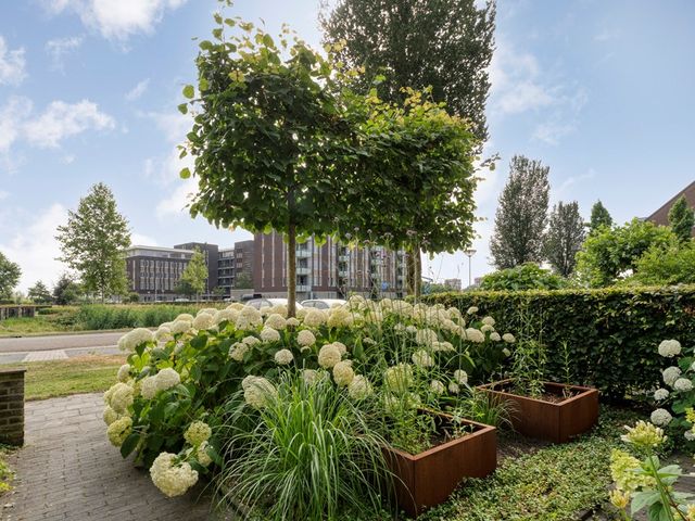 Van Kouwenborchstraat 59, Hardenberg