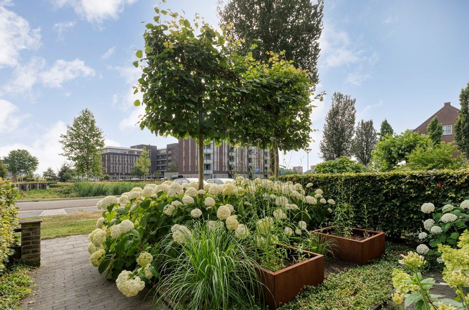 Van Kouwenborchstraat 59