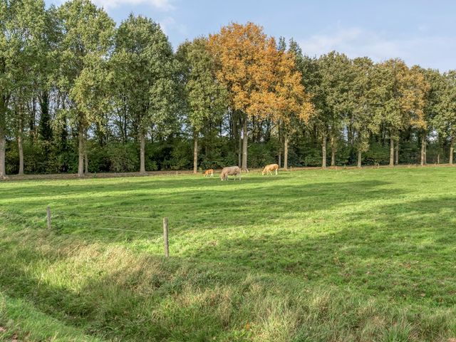 Emtenbroekerdijk 40, Bruchterveld