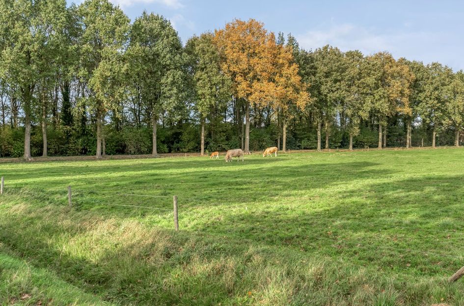 Emtenbroekerdijk 40
