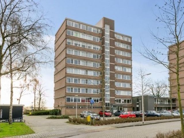 Saffierstraat , Alkmaar
