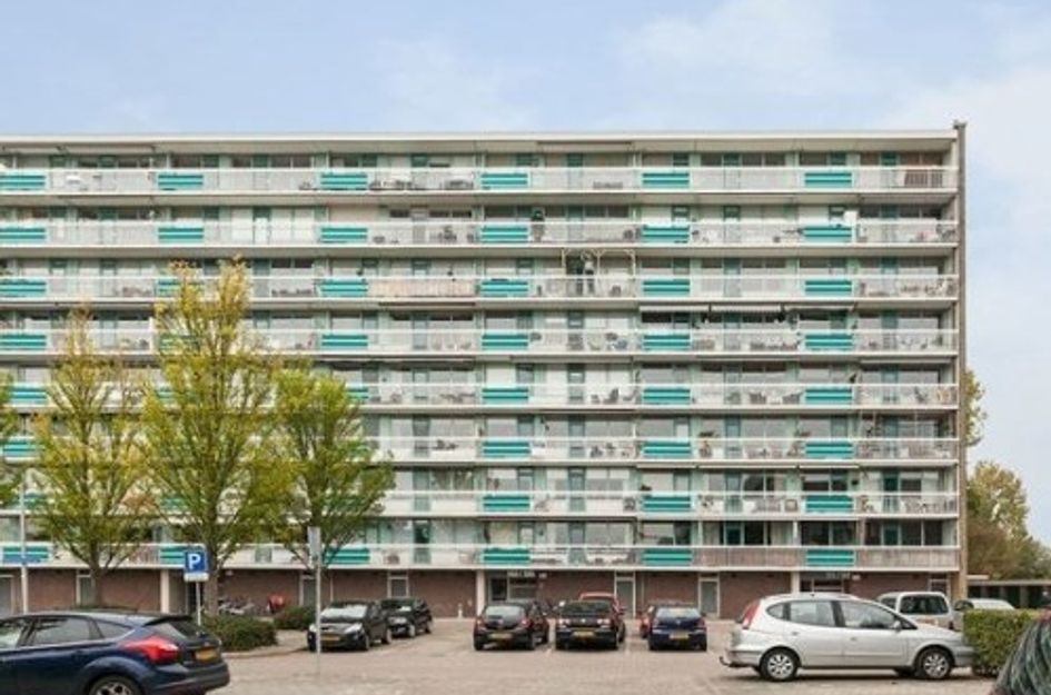Spreeuwenstraat 