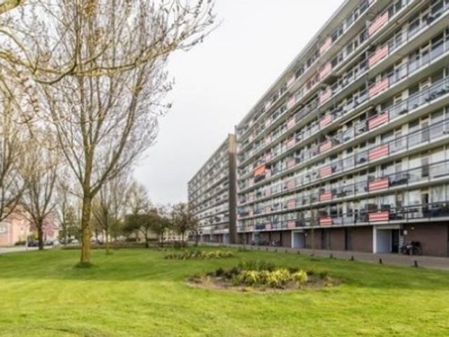 Trekvogelweg , Amersfoort