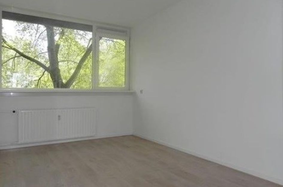 Trekvogelweg 