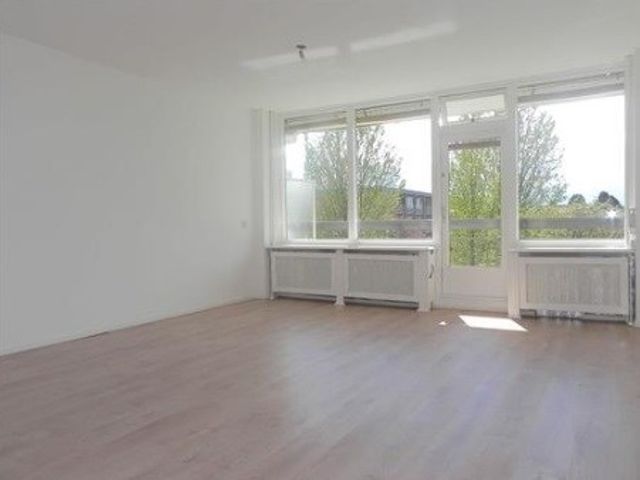 Trekvogelweg , Amersfoort