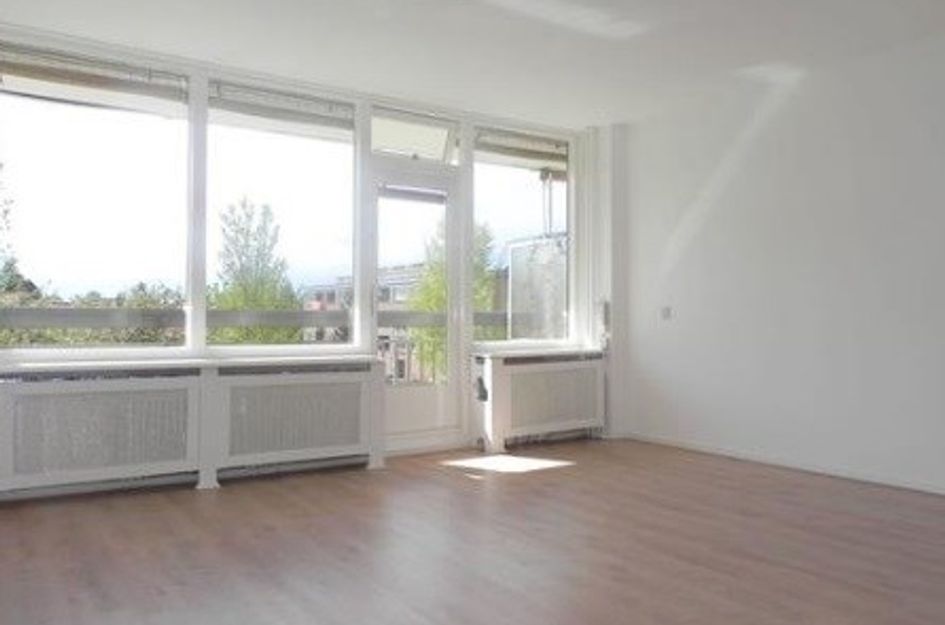 Trekvogelweg 