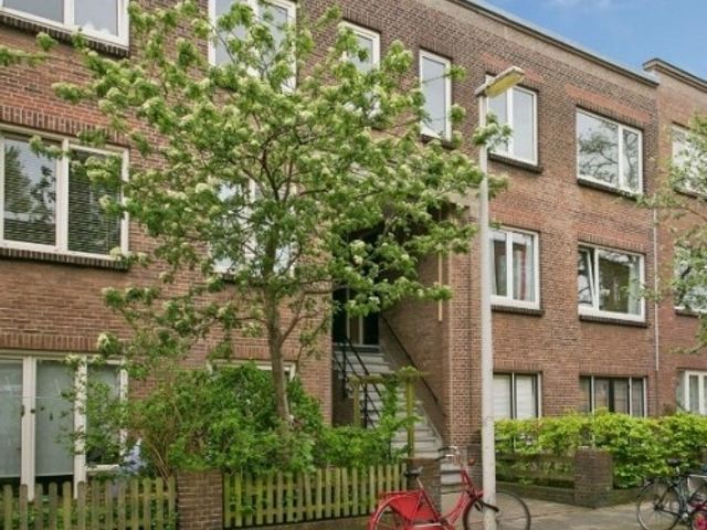 Anjelierstraat , 's-Gravenhage
