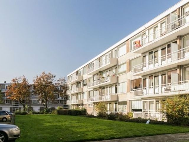 Stalpaertstraat , Rotterdam
