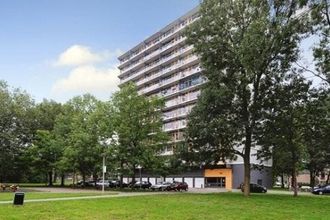 homes for rent on Agavedreef