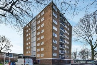 apartments for rent on Zuidervaart