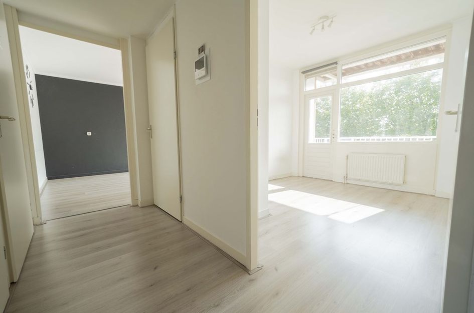 Puccinistraat 11