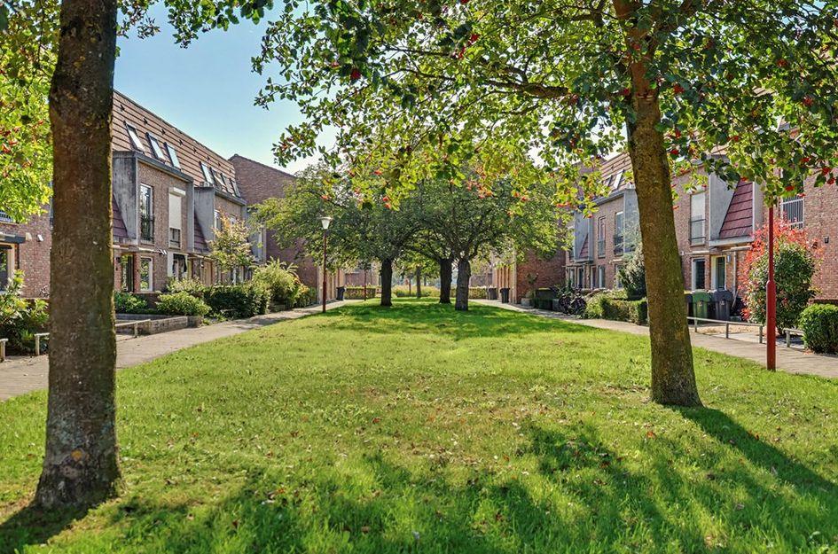Haagwinde 17