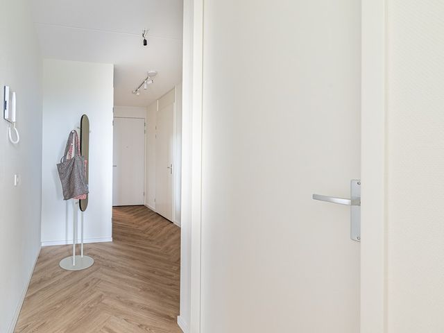 Mahoniehout 402, Zaandam