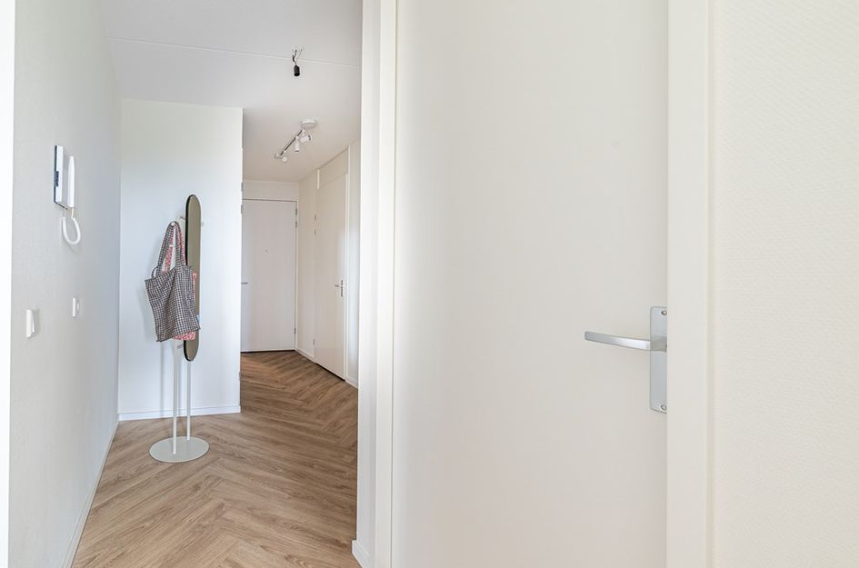 Mahoniehout 402
