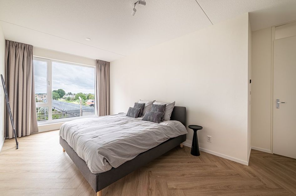 Mahoniehout 402