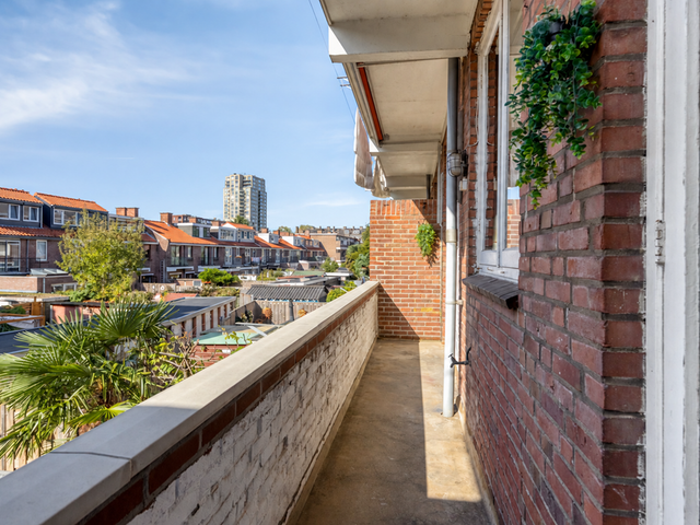 Baambruggestraat 99, 's-Gravenhage