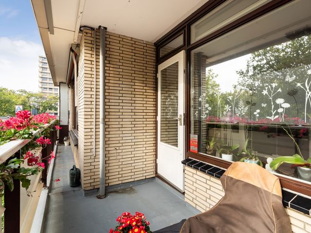 Monseigneur van Steelaan 225, Voorburg