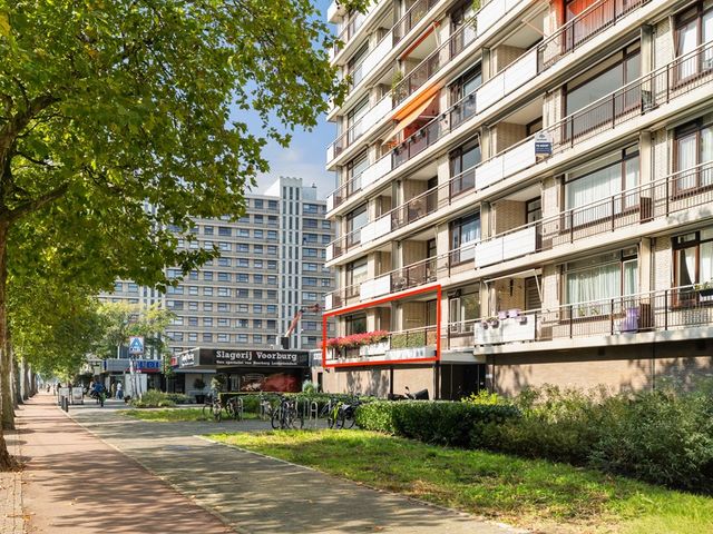 Monseigneur van Steelaan 225, Voorburg