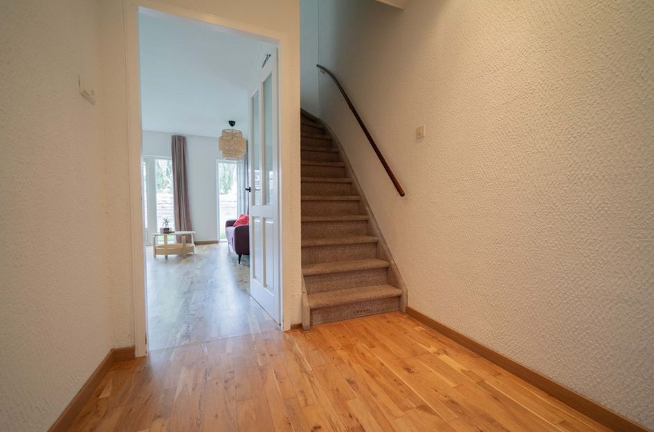 Rodenburg 2