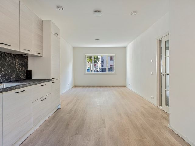 Wouwermanstraat 63, Den Haag