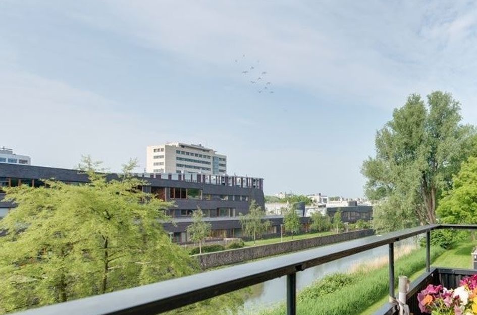 Frieslandstraat 77